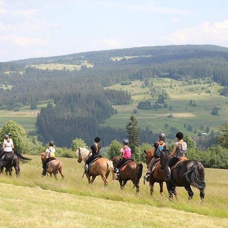 Domek Pod Zielonym Lasem Закопане Экстерьер фото