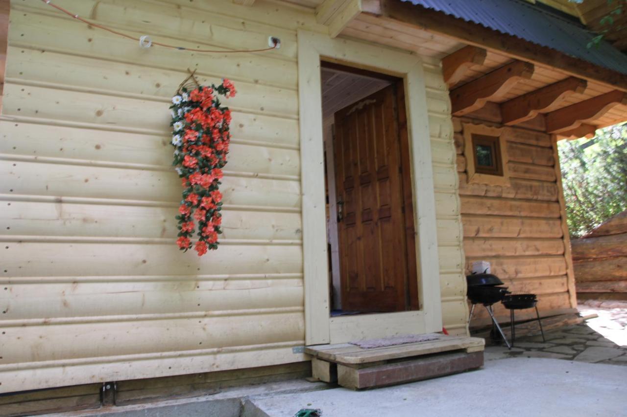 Domek Pod Zielonym Lasem Закопане Экстерьер фото